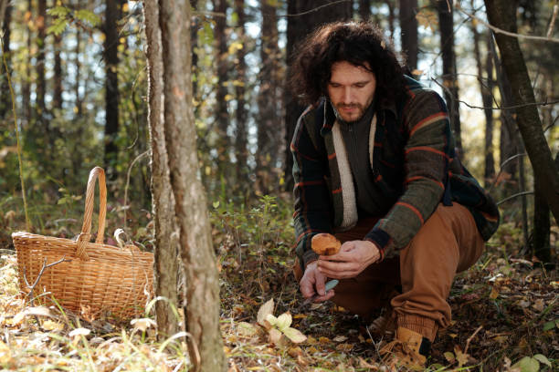 istock Young man looking at fresh boletus mushroom in his hand 1764798472