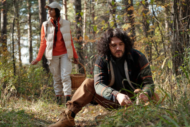 Young man cutting boletus mushroom while sitting on squats