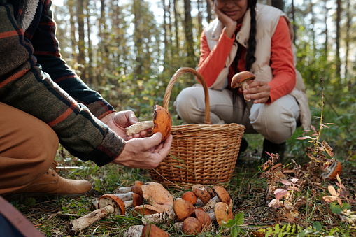 Hand of young unrecognizable male backpacker holding fresh boletus in front of camera against his girlfriend sitting on squats by basket