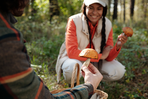 Focus on hand of young man holding fresh boletus in front of camera while his girlfriend with another porcini sitting on squats