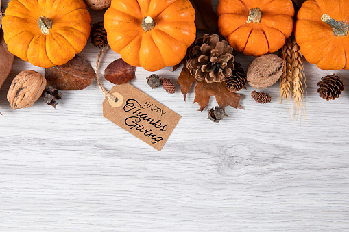 Happy Thanksgiving gift tag with border of pumpkins on white wooden background