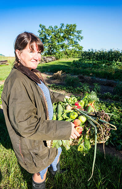 istock Fresh produce from the garden 176480500