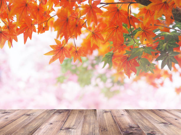 istock Wooden table top over orange maple leaves in autumn. 1764810209