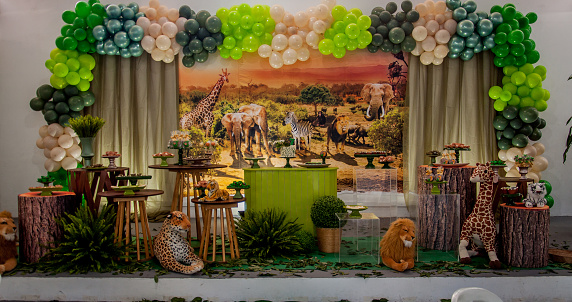 Children's party decoration, party theme, safari