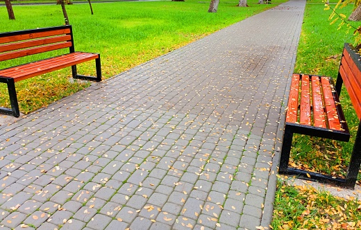 Wooden benches on the side of a cobblestone pedestrian sidewalk in a park next to a beautiful green lawn. Autumn in the park.