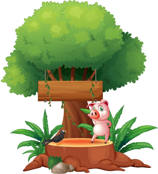 schwein und vogel über-tor vor wooden signboard - bush bird tree wood stock-grafiken, -clipart, -cartoons und -symbole