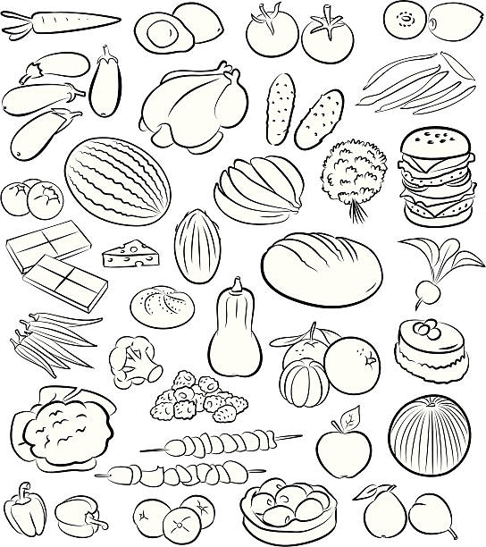 음식 - bean avocado radish nut stock illustrations