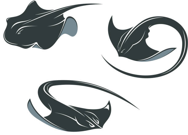 stingray fische maskottchen - stingray stock-grafiken, -clipart, -cartoons und -symbole