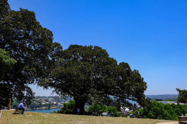 Fort St, Millers Point park