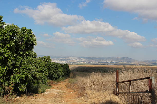 istock Israel summer in Western Galillee 176493333