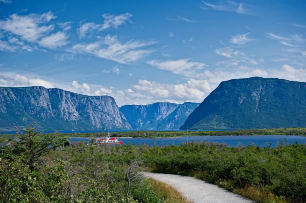 istock Gros Morne National Park Walking Trail Through the Marshlands 1764934801