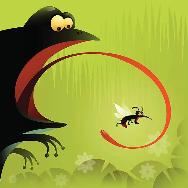 Vector illustration of frog and mosquito