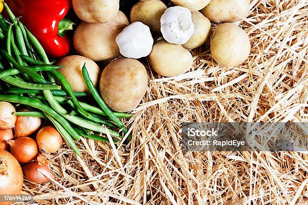 Foto de Tudo O Que Você Precisa Para Uma Deliciosa Sopa De Legumes e mais fotos de stock de Abundância