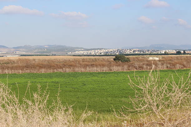 istock Israel Western Galillee Summer view 176494514