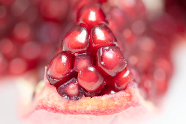 Macro shot of an opened pomegranate