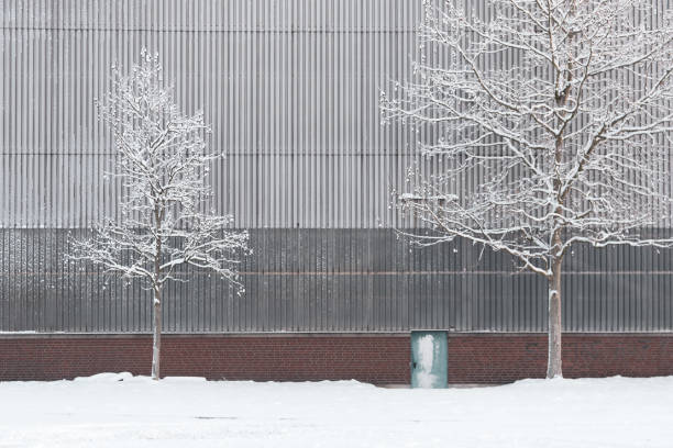 snow-covered trees with bare branches in front of an industrial facade