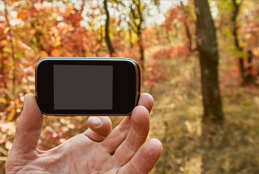 Hand holding smart phone in autumn forest