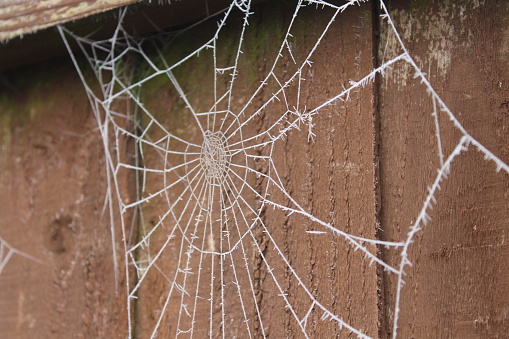 spider web in an old house, scary and dirty for Halloween