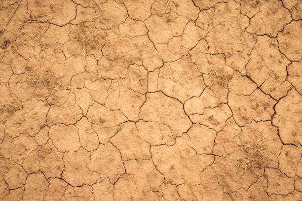 istock Dehydrated earth with cracks. Dry land. Cracked Ground, Earthquake Background, Texture 1764996258