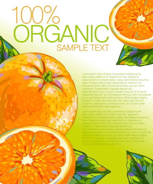 ilustrações de stock, clip art, desenhos animados e ícones de laranja fresca - orange portion vector textured