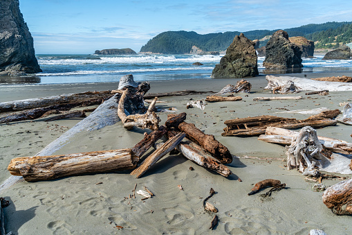 This beach on the Oregon Coast has a bit of everything. It has sand, waves, driftwood and rock formations.