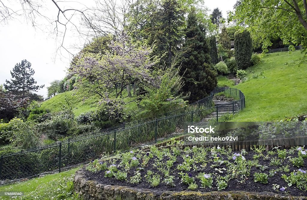 Jardín de Montmarte (Paris) - Foto de stock de Aire libre libre de derechos