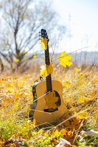 guitar in nature on a sunny day in autumn