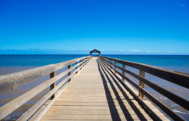 istock Pier at Pacific Ocean in Hawaii 176505415