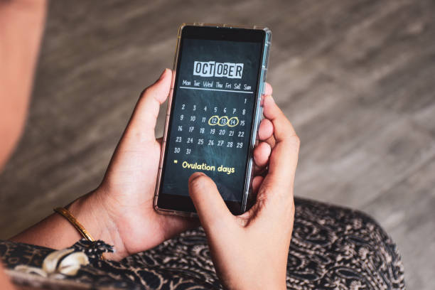 istock Woman marking her probable ovulation days on digital calendar application. Selective focus, fertile days estimation concept. 1765074924