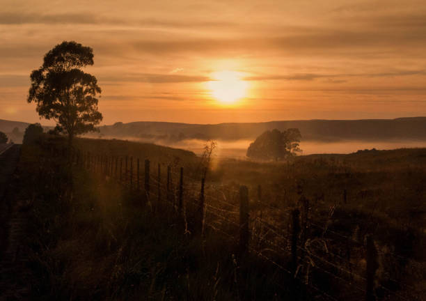 istock Sunrise over a field  whit tress 1765078147
