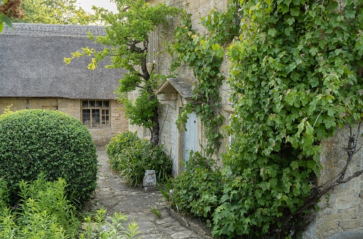 Grapevine covered Cotswold cottage, Gloucestershire, England