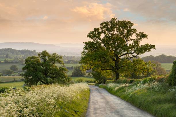 istock Rural Cotswolds in spring, Chipping Campden, Gloucestershire, England 1765083252