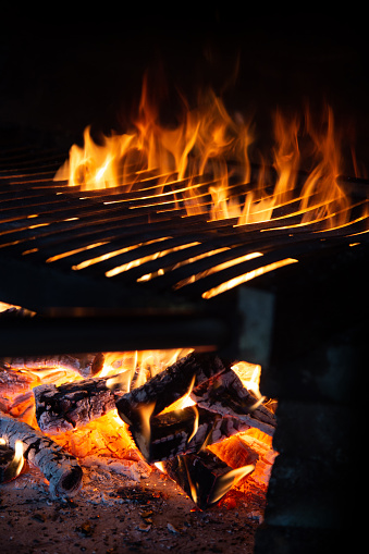 Barbecue grill and fire