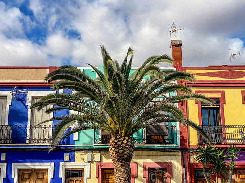 Low angle view of palm tree standing in front of colorful buildings during a cloudy day in El Cabanyal district in the city of Valencia, Spain