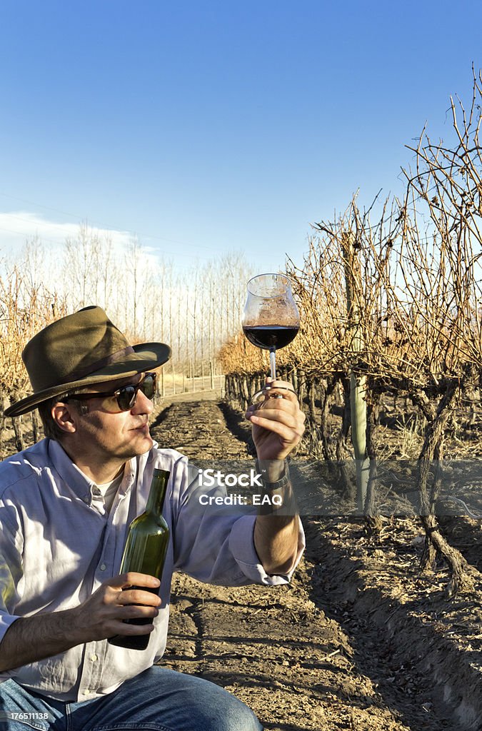 Controllo dei produttori di vino vino - Foto stock royalty-free di Argentina - America del Sud