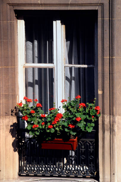 istock the balcony of the flowered window 1765129048