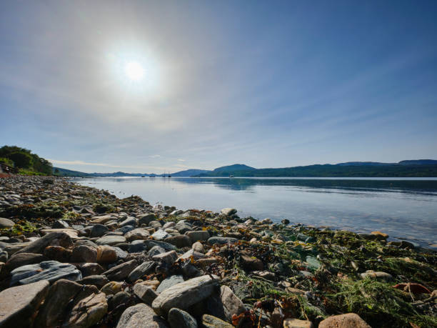 Yachts on Loch Fyne Under a hazy afternoon sun, yachts lie at anchor on a calm Loch Fyne. Looking south west from Strachur Bay. Argyll, Scotland loch fyne stock pictures, royalty-free photos & images
