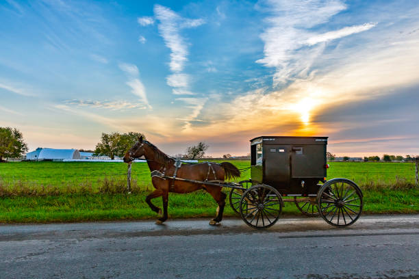 istock Amish horse and buggy Early Morning 1765169397