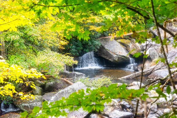 Small waterfall in Pisgah National Forest, with Autumn colors on trees, in Western North Carolina