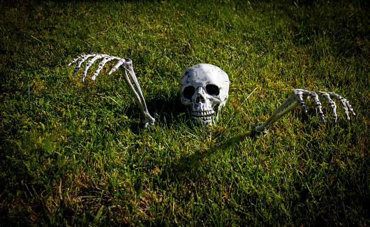 Skeleton with head and arms sticking up out of the grass