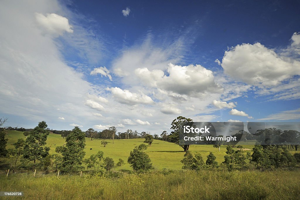 Paisagens rurais típicas da Austrália, com belas nuvens - Foto de stock de Agricultura royalty-free
