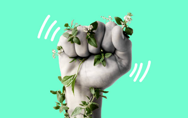 Fist, climate change and protest for support with leaves, ecology art or sustainability by green background. Hand, plants and power with opinion for accountability, carbon footprint or global warming