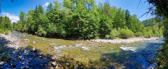river in forest, photo as a background, photo as a background, digital image
