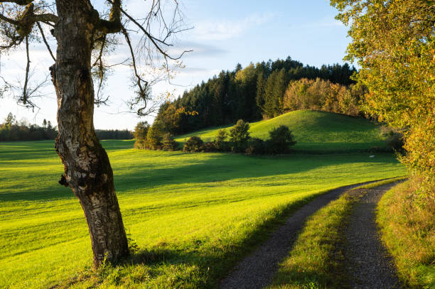 istock Landscape with green pastures and forest in the Bavarian Alpine 1765235525