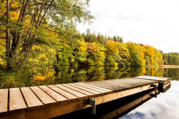 istock Yellow autumn trees are reflected in a forest pond 1765235530