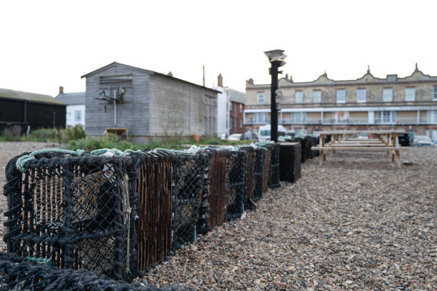 Long line of empty lobster pots seen on a Suffolk beach prior to being loaded on a trawler.