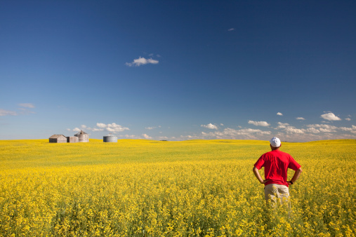 Medio de edad, caucásico, de agricultor pie en amarillo Canola Field photo