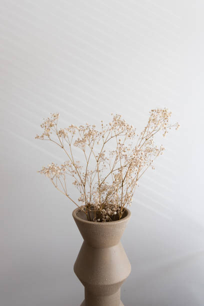 istock Dried beige flowers in the beige vase 1765253262