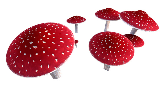 3D rendering of fly agaric or fly amanita or Amanita muscaria mushrooms isolated on white background