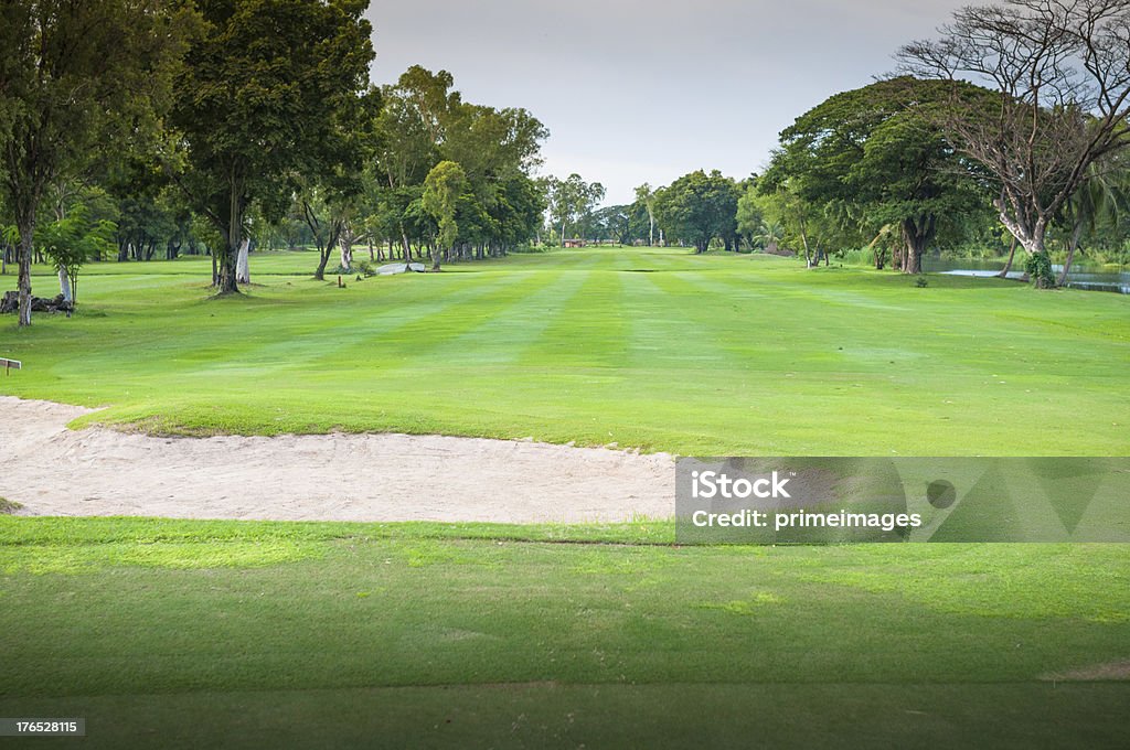 Tropical campo de Golf - Foto de stock de Archivar documentos libre de derechos